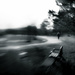 lensbaby - a walk in the park by northy