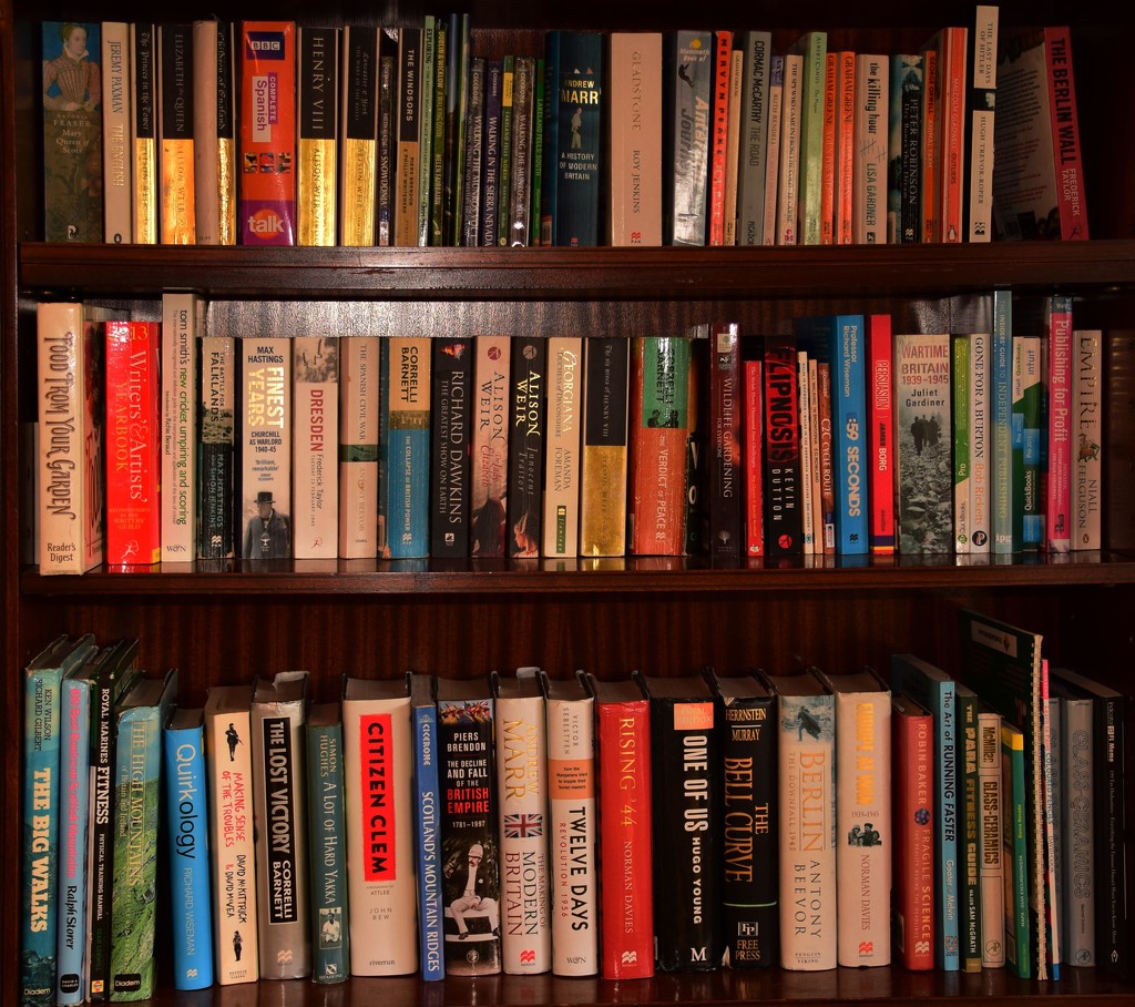the book shelves by ianmetcalfe