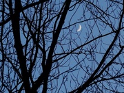 23rd Jan 2018 - Just a sliver of moon