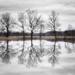 2018-01-23 flooded by mona65
