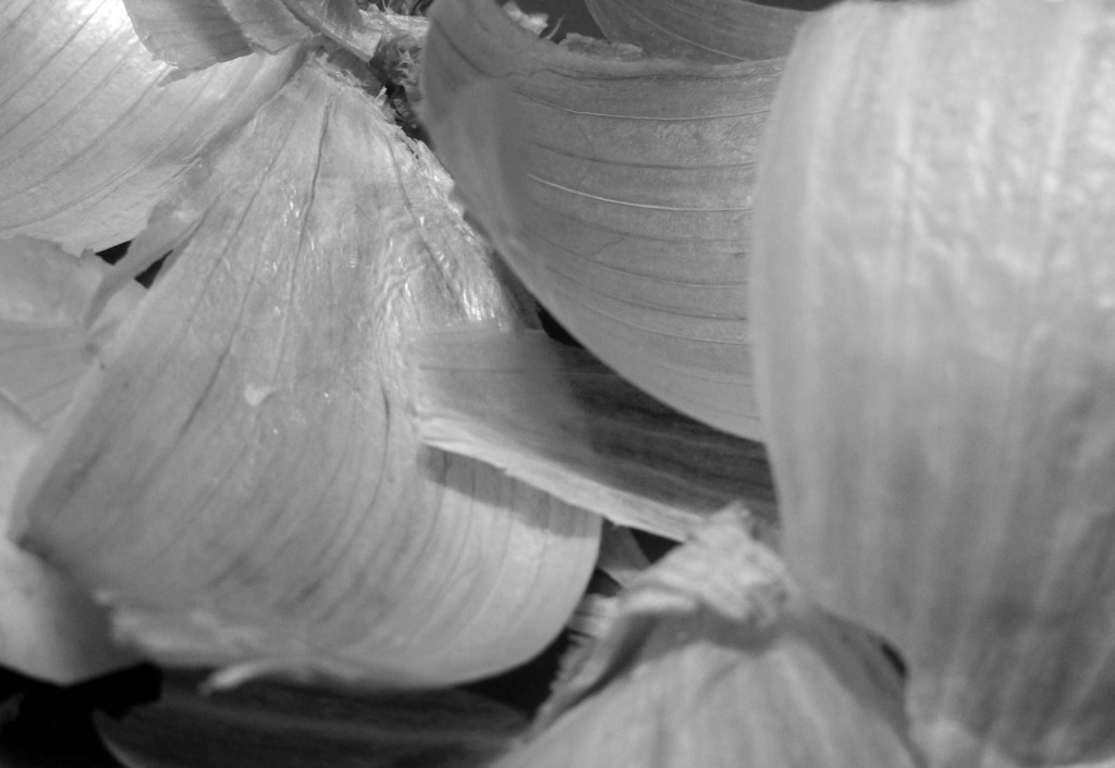 Abstract garlic by homeschoolmom