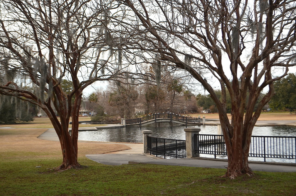 Hampton Park,  Charleston, SC  by congaree