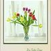It's Tulip Time  by beryl