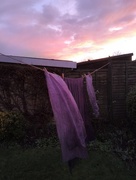 24th Jan 2018 - Dyeing at sunset