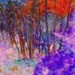 Deep Forest  by joysfocus