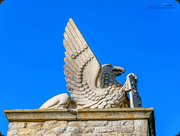25th Jan 2018 - Griffin (statue on a gate pillar at Castle Ashby)
