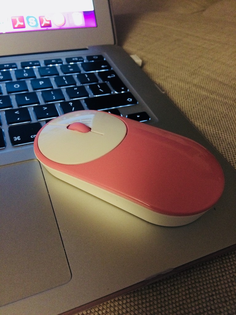 New Mouse  by elainepenney