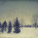 Winter Day by lstasel