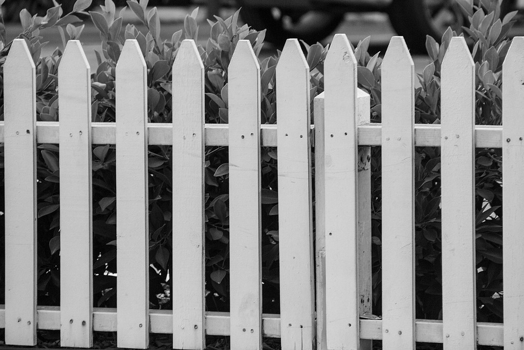 Picket Fences by jaybutterfield