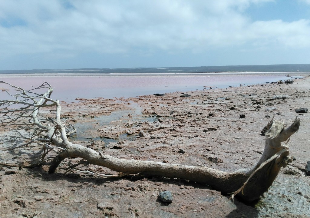 Pink lake landscape by 30pics4jackiesdiamond