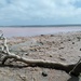 Pink lake landscape by 30pics4jackiesdiamond