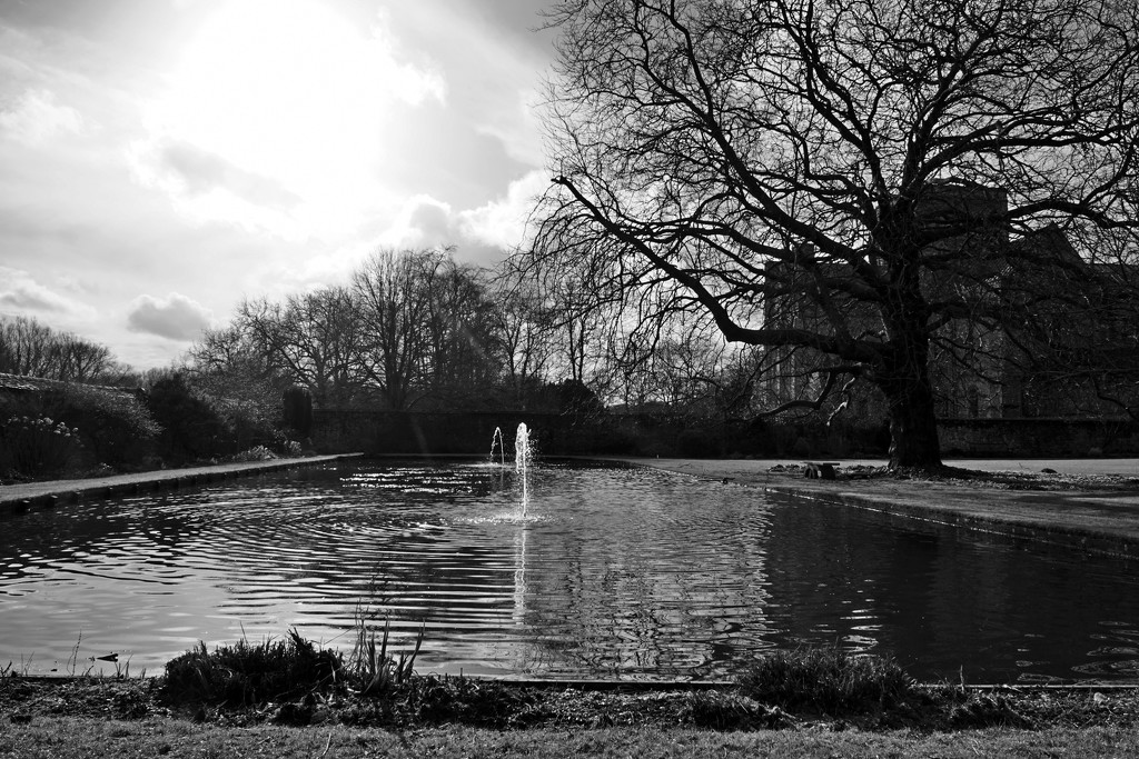 fountains in the pond  by quietpurplehaze