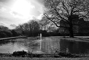 27th Jan 2018 - fountains in the pond 