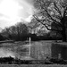 fountains in the pond  by quietpurplehaze