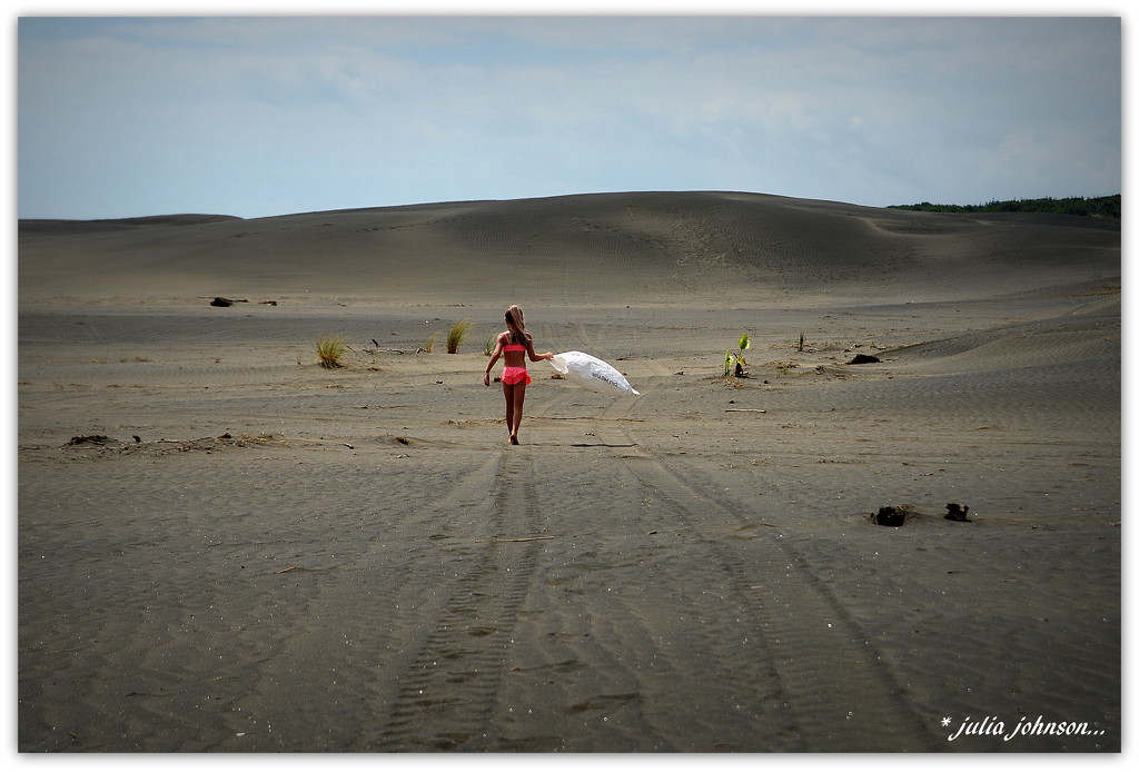 Sand Duner.... by julzmaioro