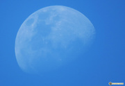 27th Jan 2018 - blue moon