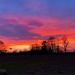 Silhouette sunset  by 365projectdrewpdavies