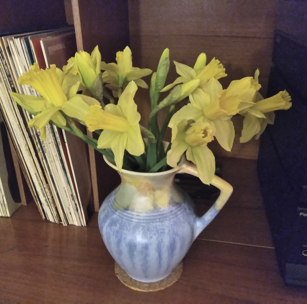 First vase of daffodils by cpw