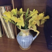 27th Jan 2018 - First vase of daffodils