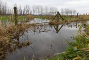 28th Jan 2018 - Fence in flooded field