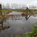 Fence in flooded field by leonbuys83