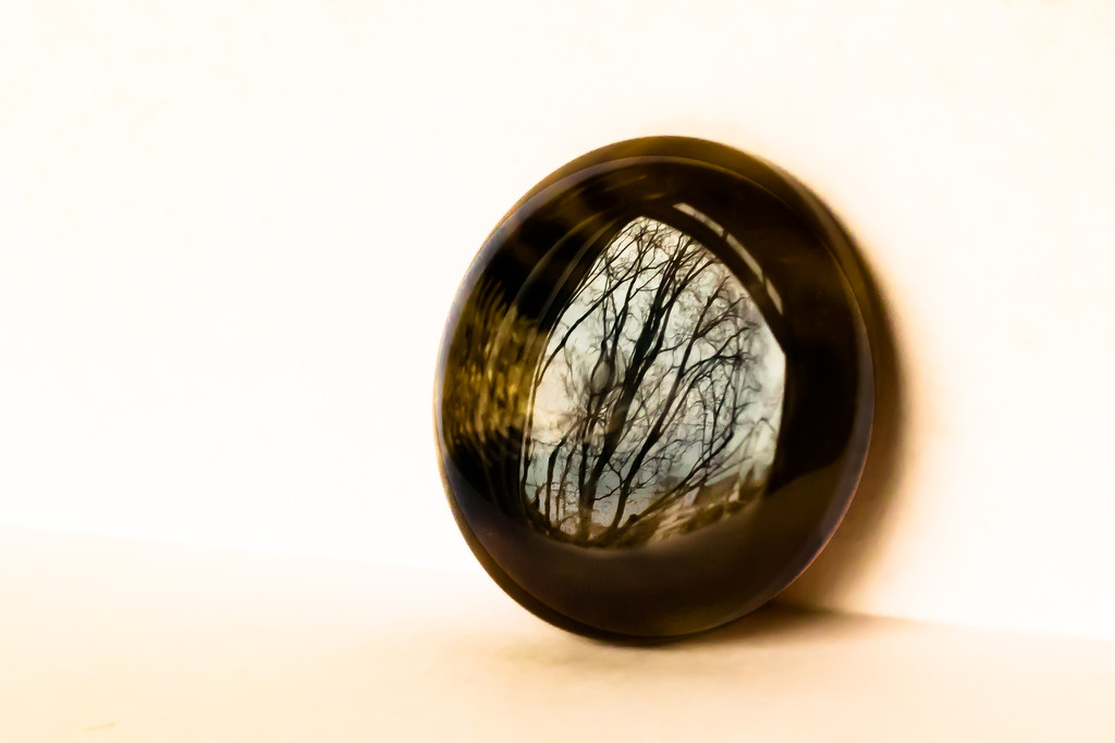 button reflection by jernst1779