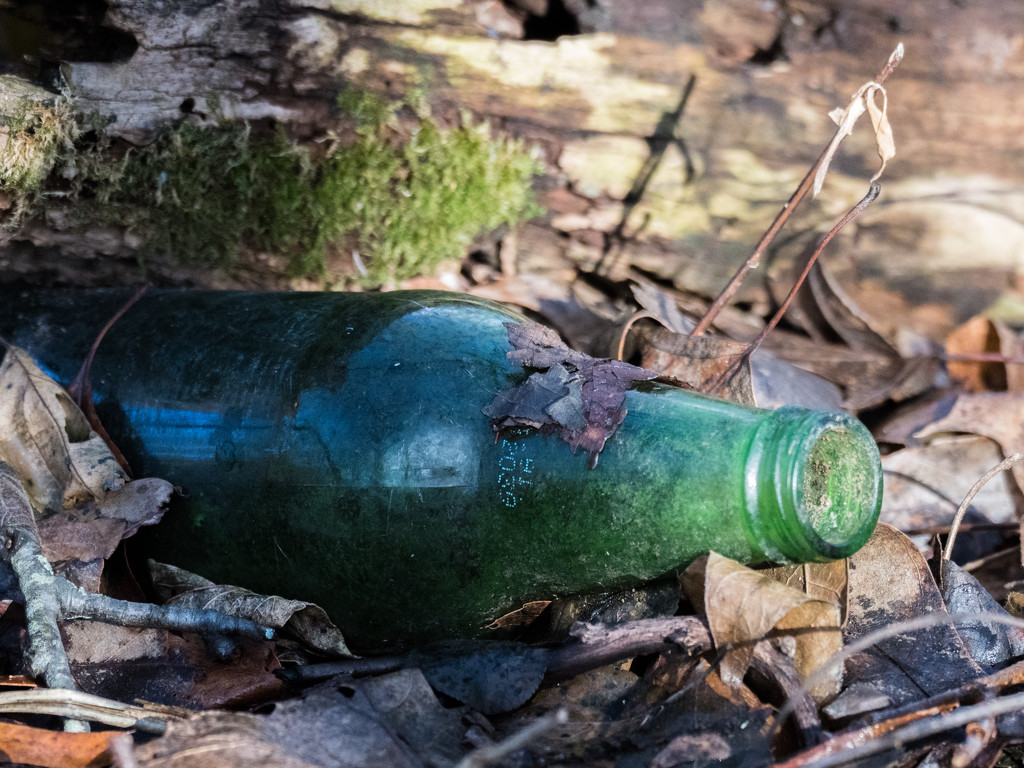 Green Bottle Stilllife by rminer