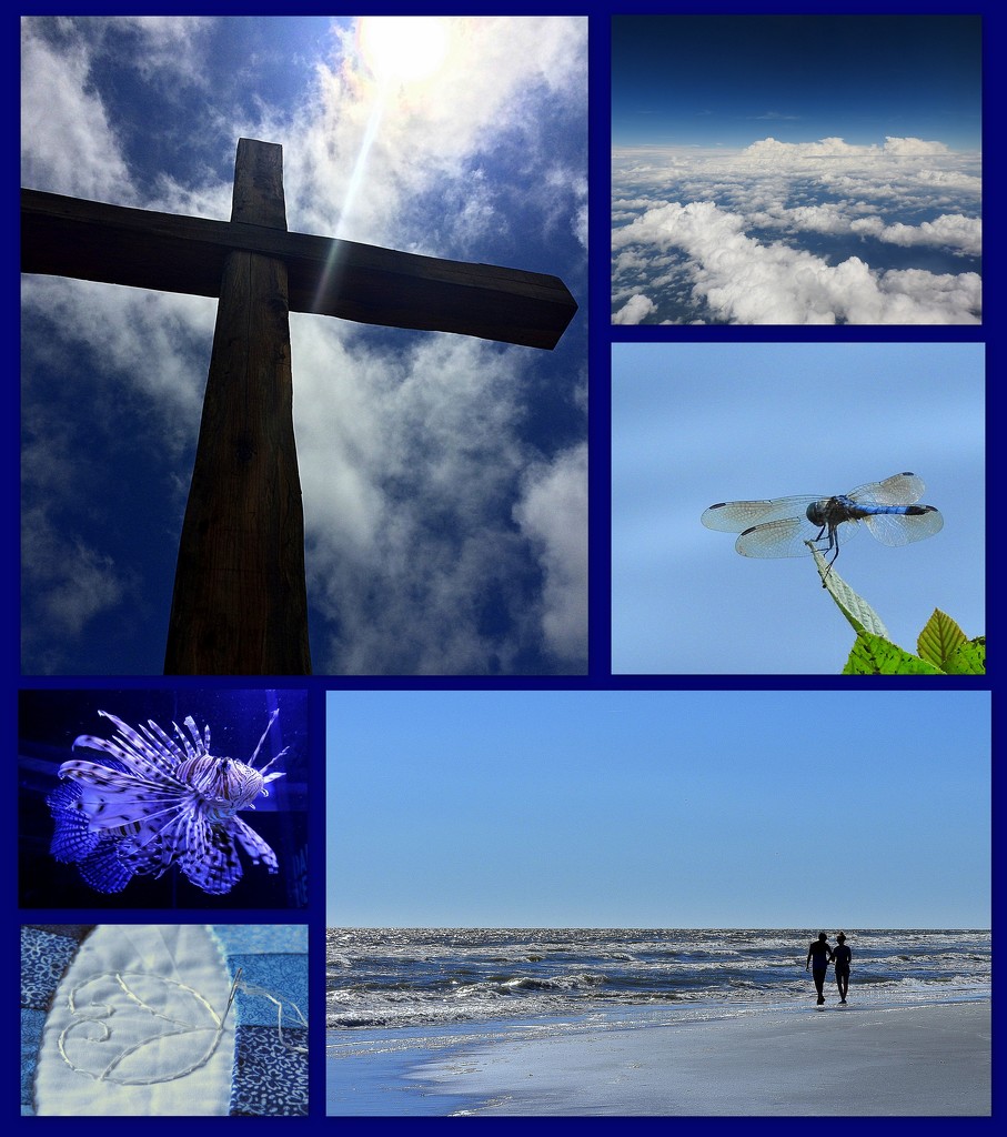 My Favorite Pictures in a Collage - BLUE! by homeschoolmom