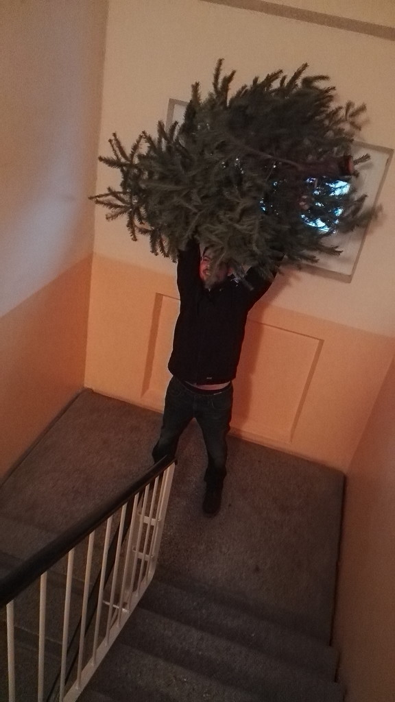 defeating the christmas tree by nami