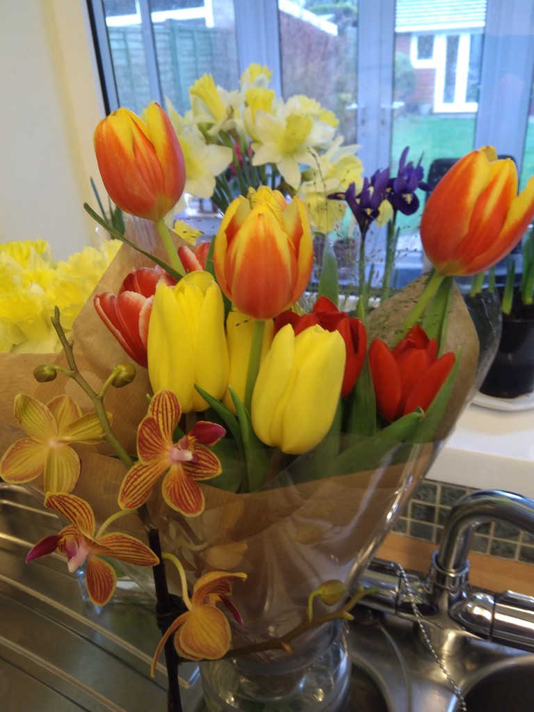 Lots of spring flowers in my kitchen - so lovely 😄 by cpw