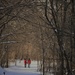 A scenic snowy stroll by caitnessa