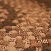 brown rug by edorreandresen