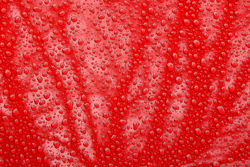 Abstract: Rain and Trees on a Red Truck by homeschoolmom