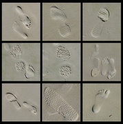 30th Jan 2018 - Footprints in the Sand