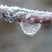 Frozen droplet by mattjcuk