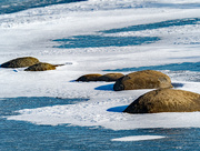 30th Jan 2018 - Stones on a frozen lake