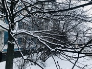 30th Jan 2018 - Balancing Snow 