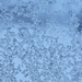 Icy Window pane by caitnessa