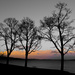 Sunset along Lake Washington by cristinaledesma33