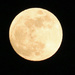 Jan 18 Full Moon by nanderson