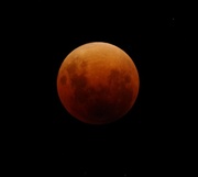 31st Jan 2018 - Super Blue Moon, Red Lunar Eclipse