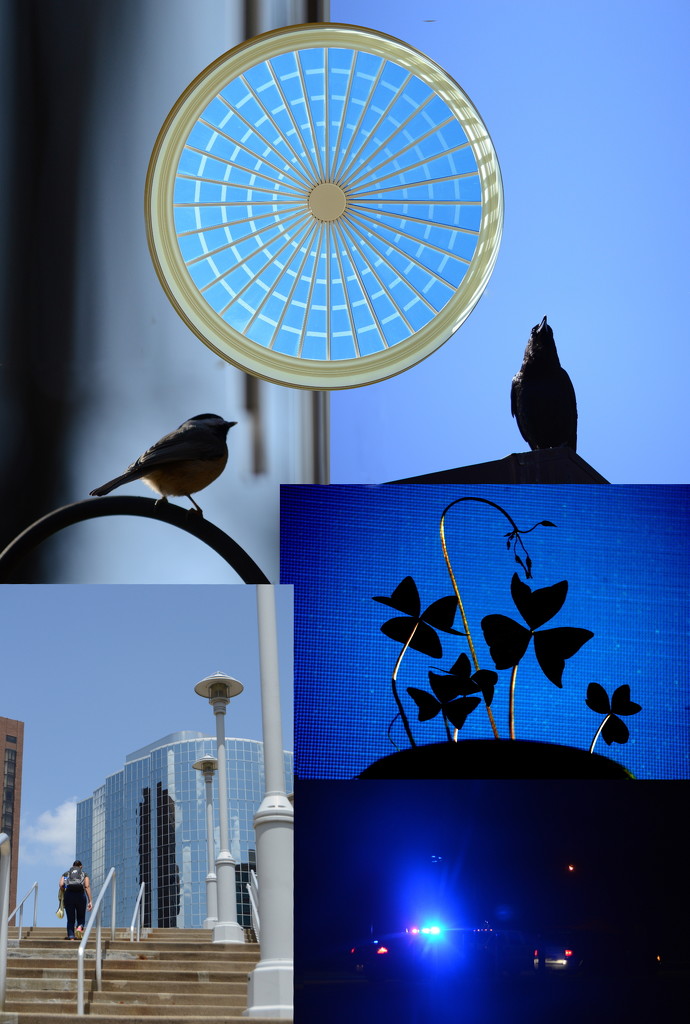 Blue Collage 2 by francoise