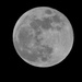 Blue Moon (2nd full moon of January 2018) by mattjcuk