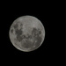 Moon 31st January by salza