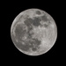 Full moon by rumpelstiltskin