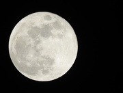 31st Jan 2018 - Perigee full moon