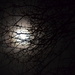 Peek a boo moon by stephomy
