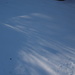 Snow Shadows by selkie