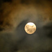 Our super moon looks rather pale ... by ludwigsdiana