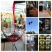 Margaret River Wineries Tour by 30pics4jackiesdiamond